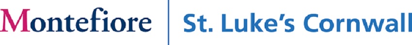 MSLC 2019 logo